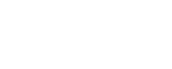 Visa logo